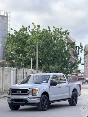 Ford F-150 XLT 2022 Gray