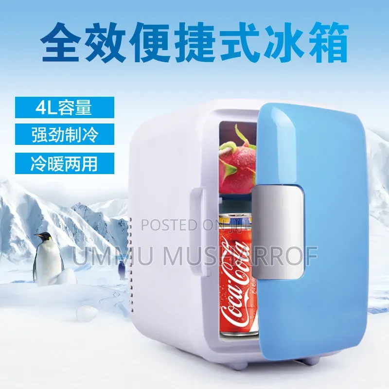 Mini Fridge