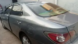 Professional Daily Car Hire Service