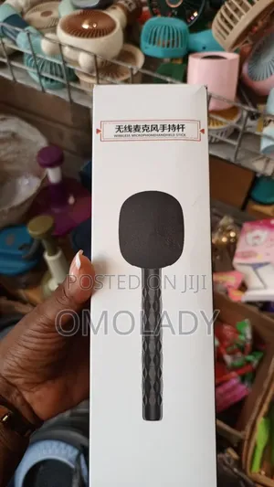Wireless Microphone Handheld Stick