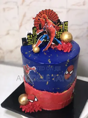 Professional Cook/Baker