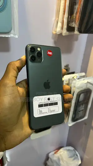 Apple iPhone 11 Pro Max 256 GB Green