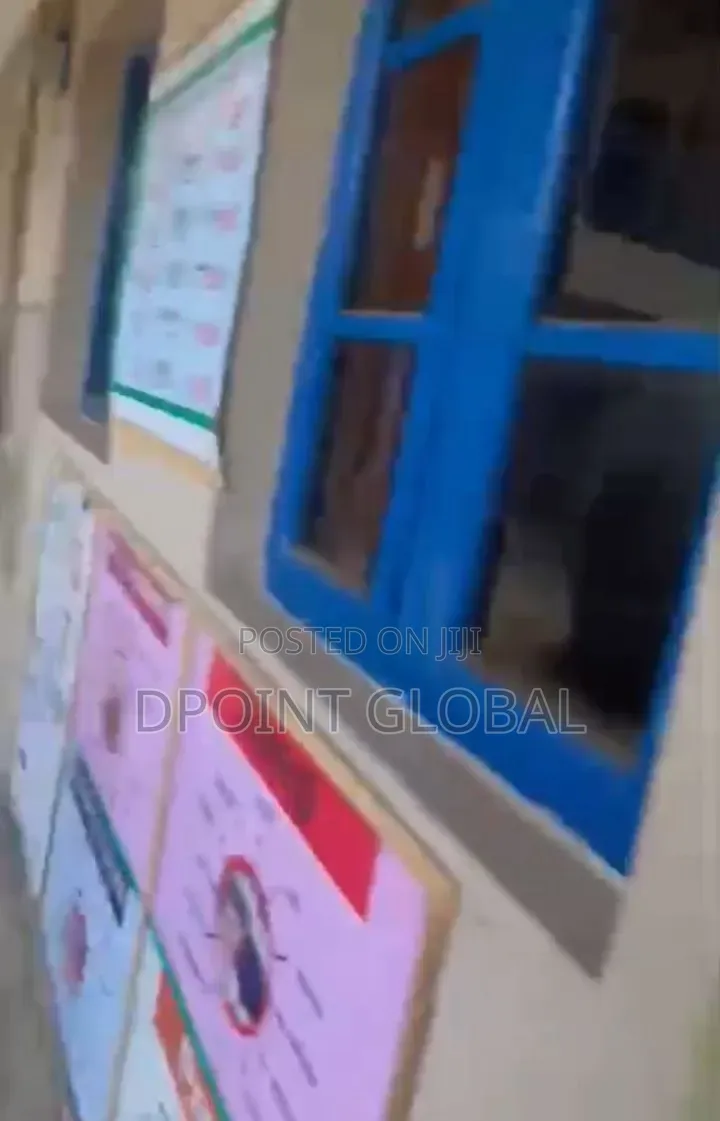 Functioning School in Ayobo