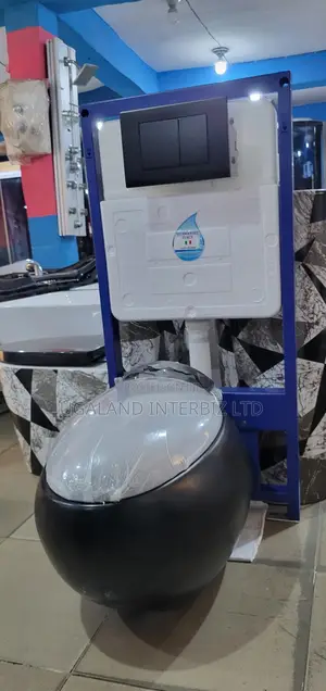 Modern Concealed Toilet System