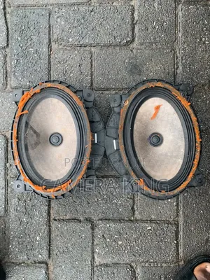 Rx330 Front Door Speaker