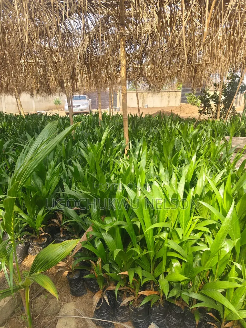 Agro Service