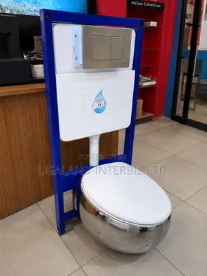 Royal Chrome Concealed Wc