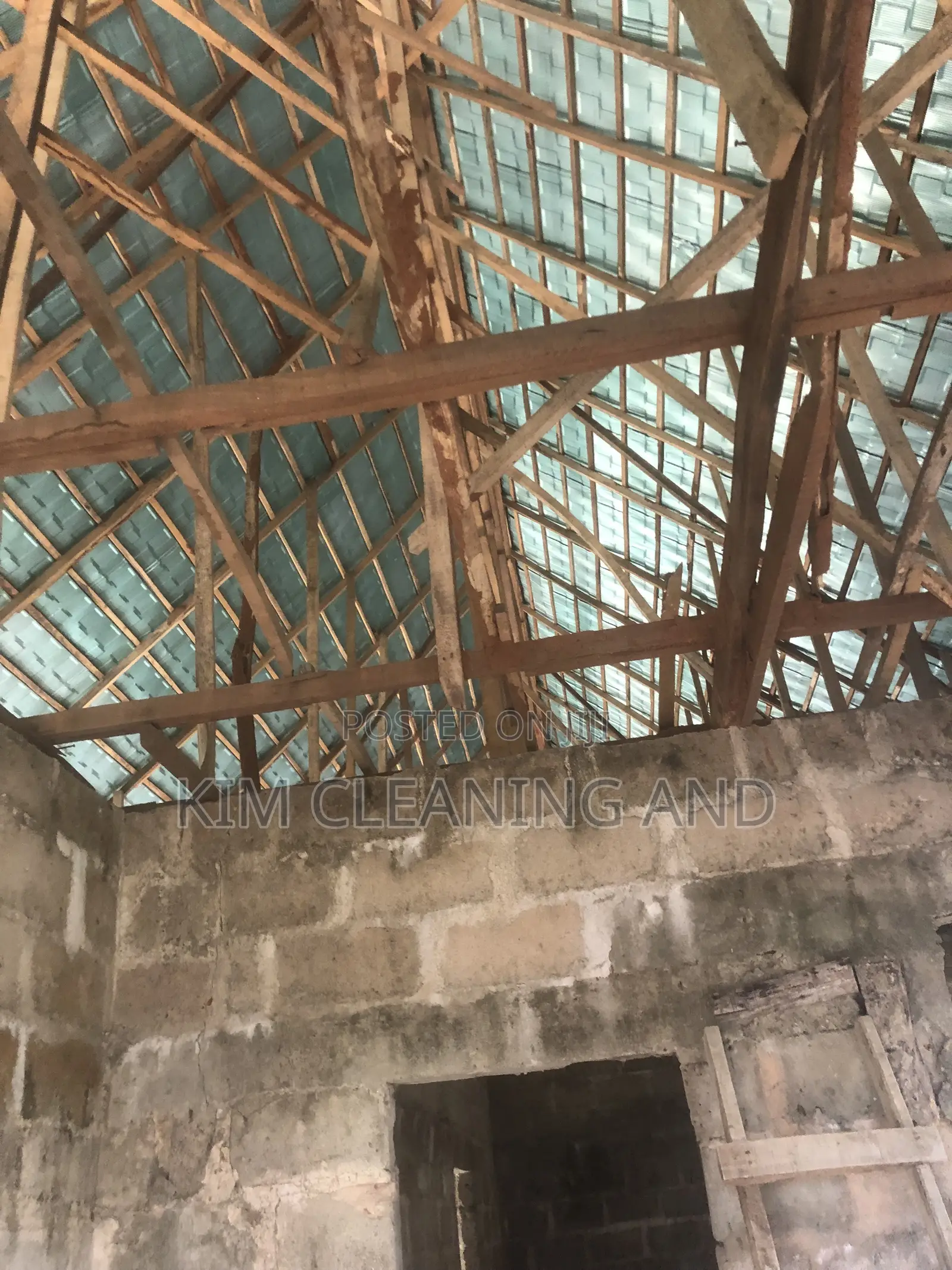 Termite Control