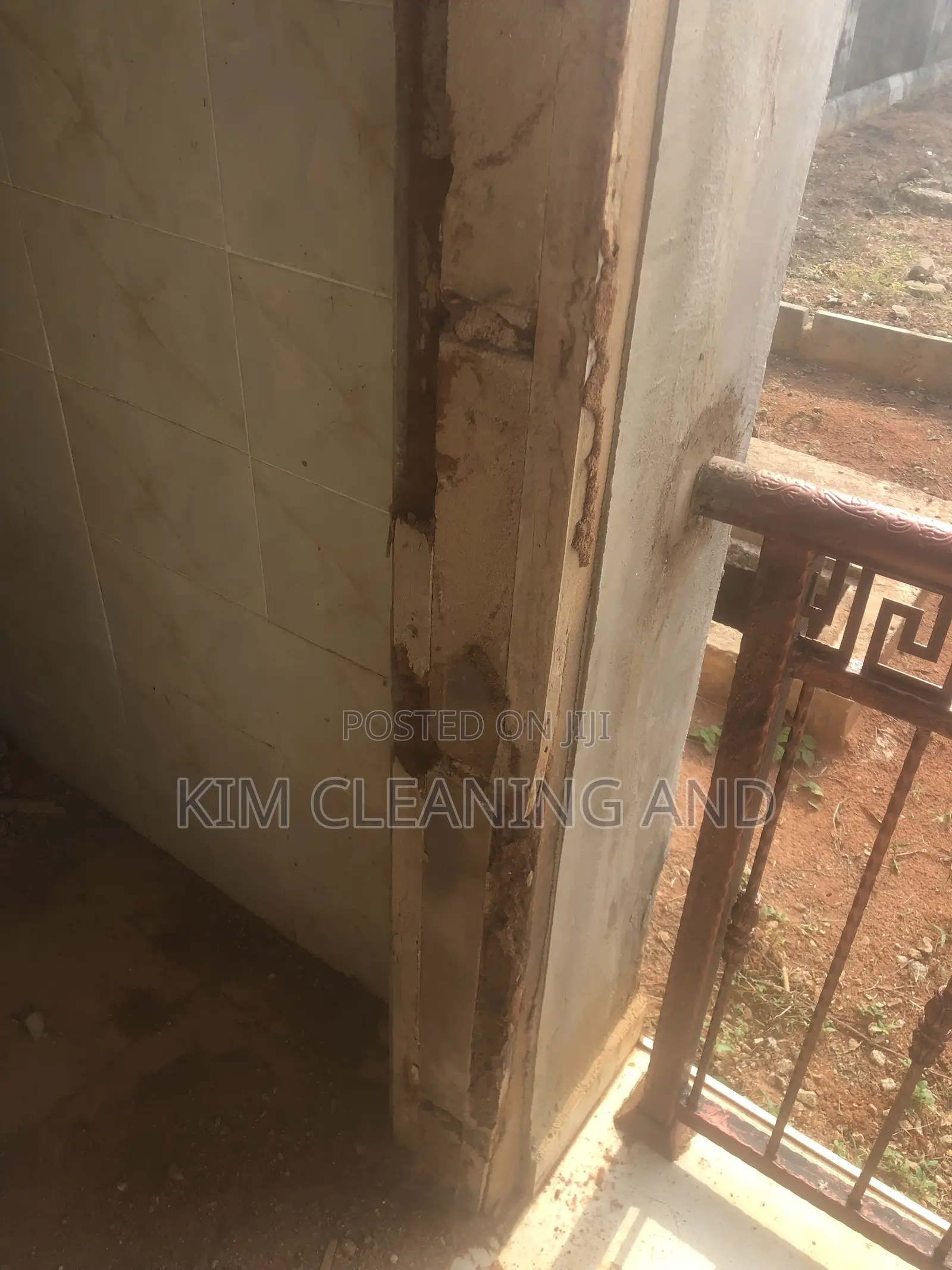 Termite Control