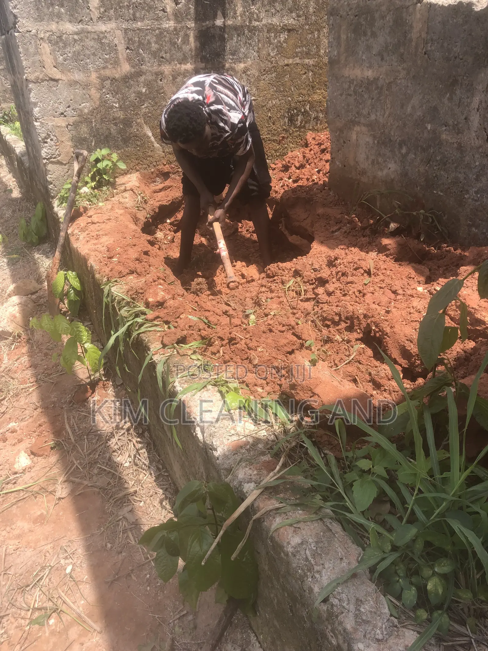 Termite Control