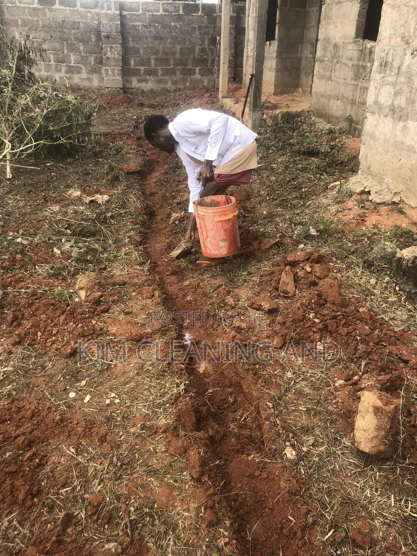 Termite Control