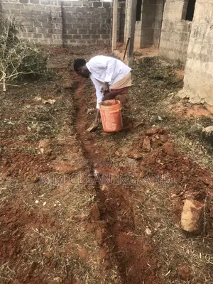 Termite Control