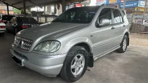 Pickup and Drop Off Errands Services