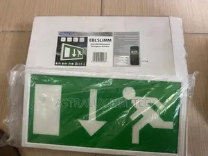 Eterna Slim Led Maintained Emergency Exit Box