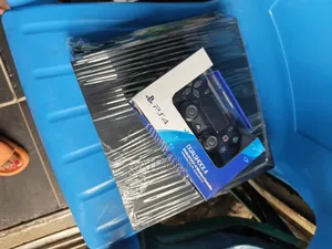 Ps 4 Hacked Slim Game