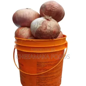 1 Painter of Dried Onions (₦3,500)