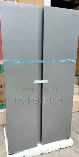 Hisense Double Door Refrigerator 55ws