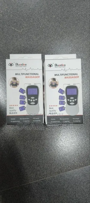 Multifunctional Digital Massager (Bld-610)