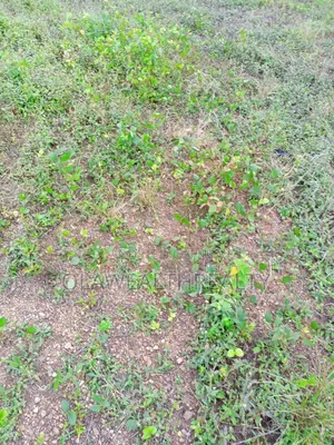 385sqm Plot of Land at Kwali
