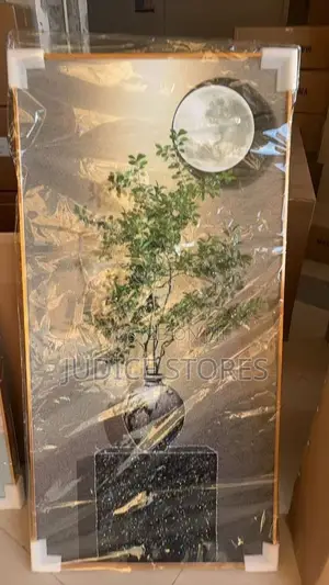60 by 120 Acryclic Stoned Frame With Let Light