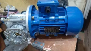 Electric Motor With Gearbox