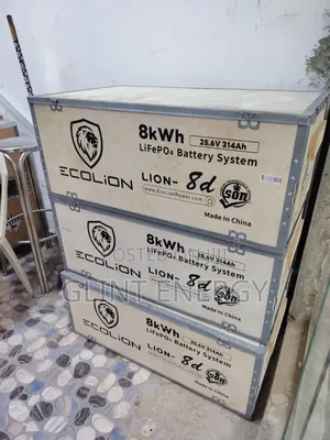8kwh 24v Ecolion Lithium Battery
