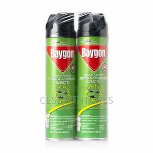 Baygon Crawling and Flying Insect Killer 300ml