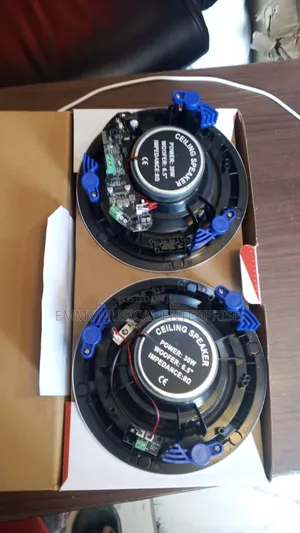 Dart 2in1 Bluetooth Ceiling Speaker
