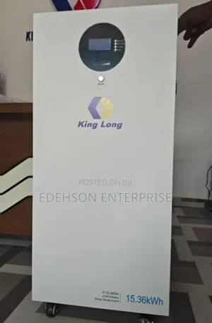 King Long 15.3kwh Lithium Battery