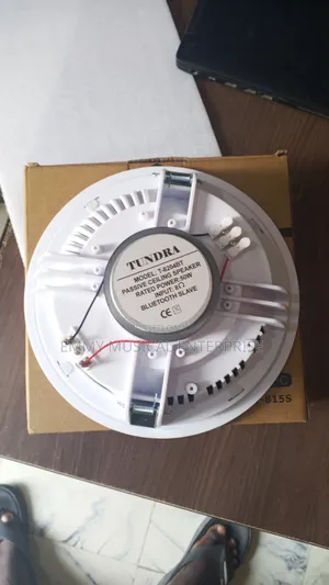Original Tundra Passive Ceiling/Pop Speaker