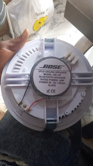 Bose Passive Ceiling/Pop Speaker