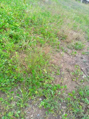 10 Plots of Land at Kuruduma