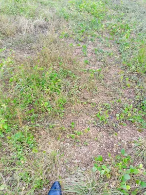 8,289sqm Residential Plot at Dakibiyu