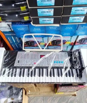 Xy 813 Multifunctional Digital Electronics Organ( Beginners Keyboard)