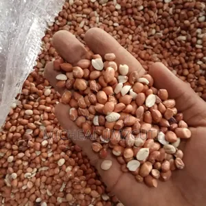 Java Peanut