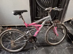 Adult Bicycle ( for Big Teens and Adult)