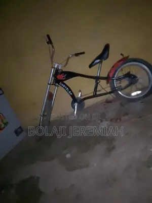 One of One Bicycle (Chrisley)