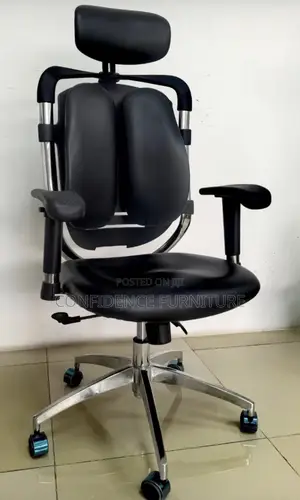 Ergonomic Chair