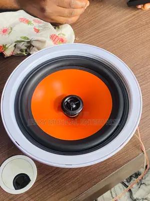 50w Lucky Tone Framless Woofer Speakers