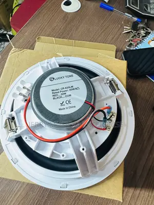 Lucky Tone 60w Framless Ceiling Speakers With Woofer