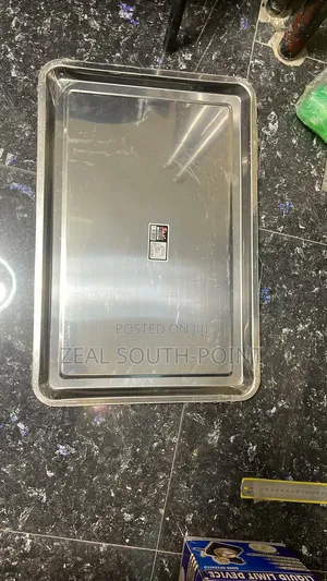 Big Stenless Steel Tray