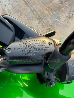 Kawasaki Versys 1000 LT 2020 Green