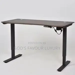 Sit-Stand Smart Gaming Desk (Motorised Adjustable)