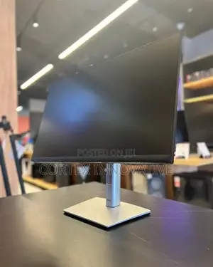 24 Inches P2422he Frameless Monitor Usb-C