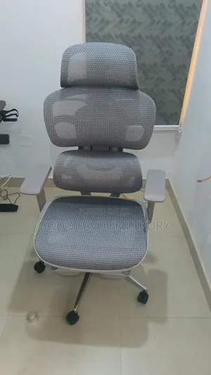 Ergonomic Office Mesh Chair.