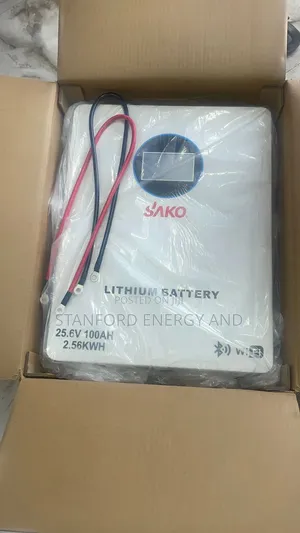 2.5kwh Lithium Battery 24v