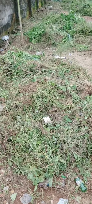 Half Plot in Vip Garden Estate (P and T) , Ipaja