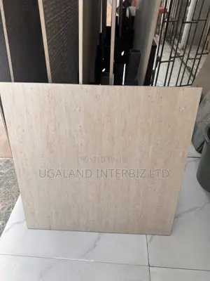 Royal Ivory 60x60 Matt Tiles