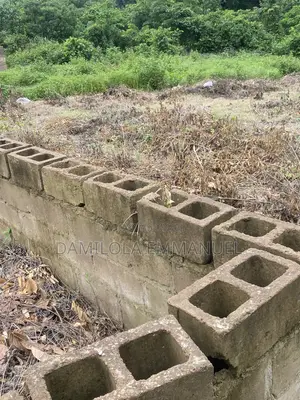 A Full Plot of Land