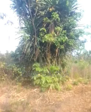 Land for Sale. Very Legit